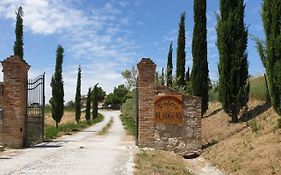 Podere Il Poggio